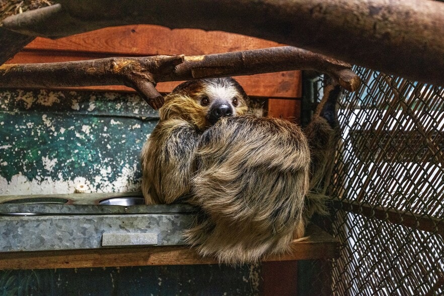 1489 Live Oak Rd, Coats, NC for sale - Building Photo - Image 2 of 45