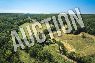 More details for 4263 County Road 1, Steelville, MO - Land for Sale