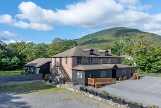 Plus de détails pour 3311 Route 23A, Palenville, NY - Commerce de détail à vendre