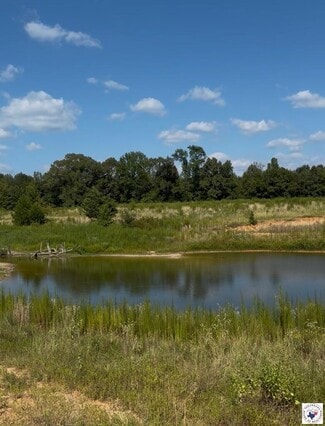 More details for 243 County Road 2513, Naples, TX - Land for Sale
