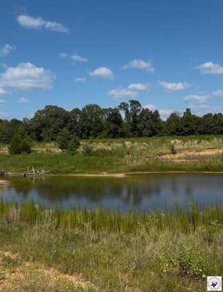 Plus de détails pour 243 County Road 2513, Naples, TX - Terrain à vendre