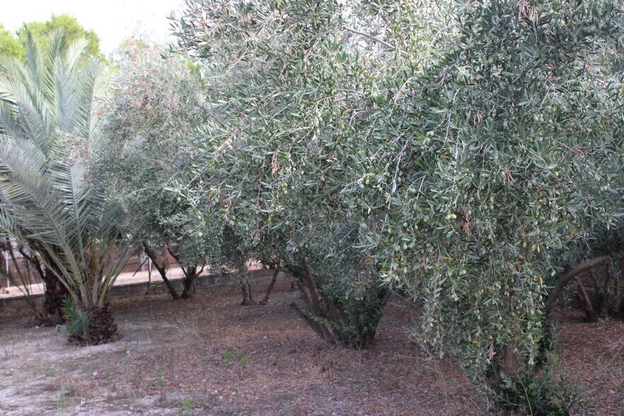 Land in Molina de Segura, Murcia for sale - Building Photo - Image 2 of 14