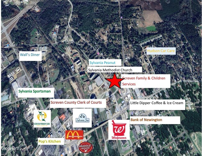 Plus de détails pour 107 Singleton Ave, Sylvania, GA - Commerce de détail à vendre