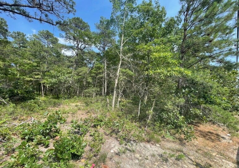 1463 Route 539, Tuckerton, NJ à vendre - Photo du bâtiment - Image 2 de 7