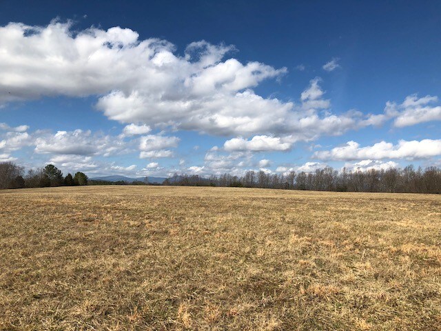 Brockman Park Drive, West & East Commerce St, Amherst, VA à vendre Autre- Image 1 de 3