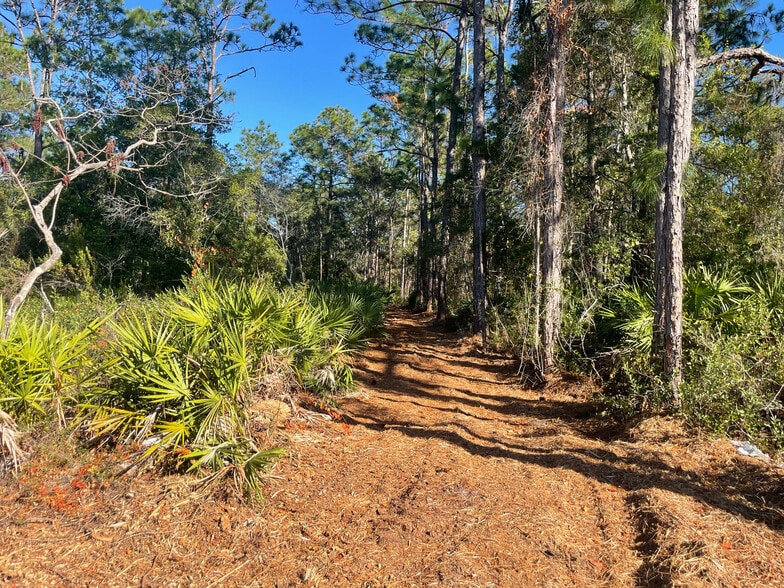 9115 S Suncoast Blvd, Homosassa, FL for sale - Building Photo - Image 2 of 6