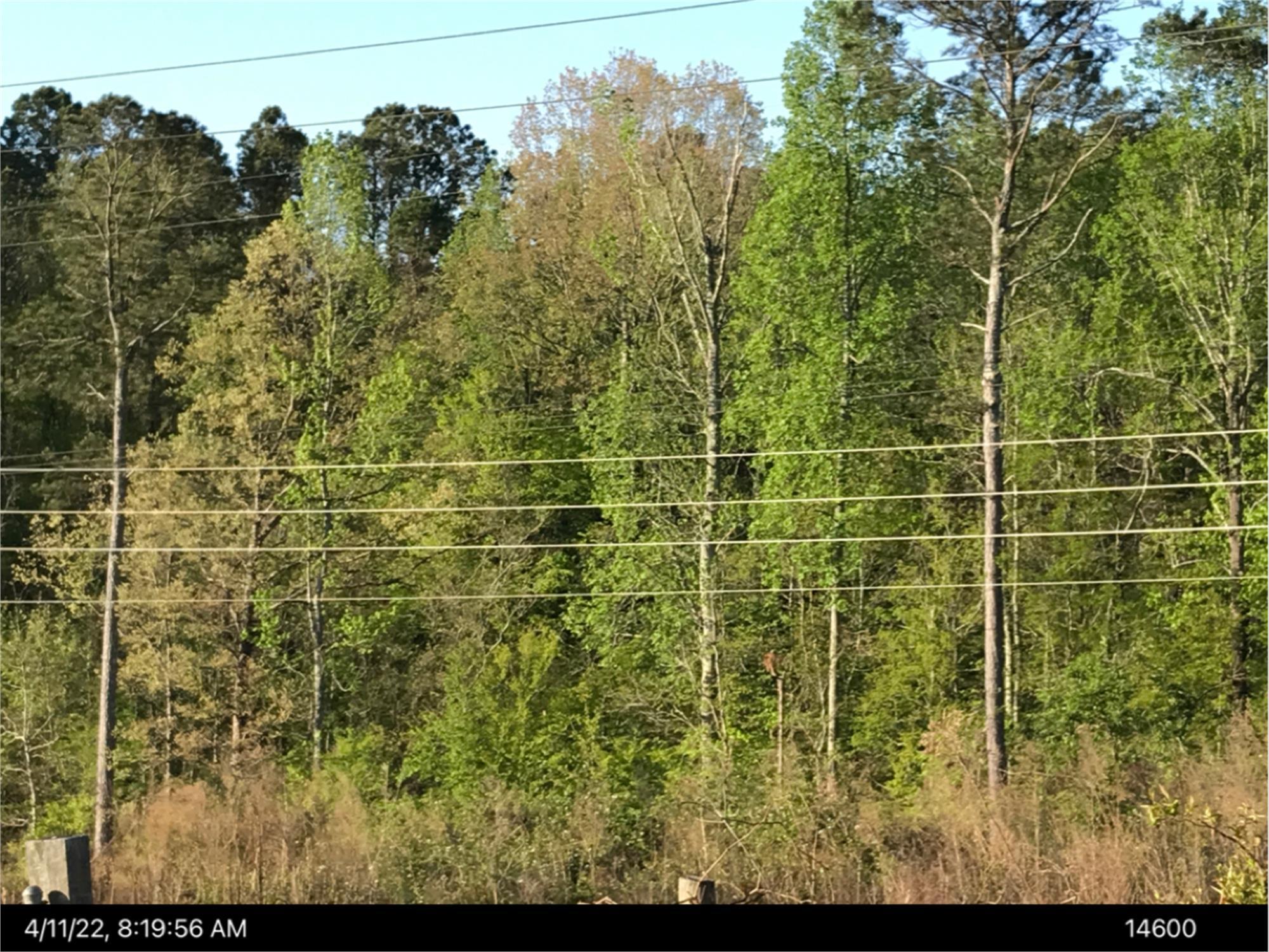 1975 Gray hwy, Macon, GA à vendre Autre- Image 1 de 2