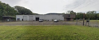 Plus de détails pour 1317 Godfrey Ave SE, Fort Payne, AL - Industriel à vendre