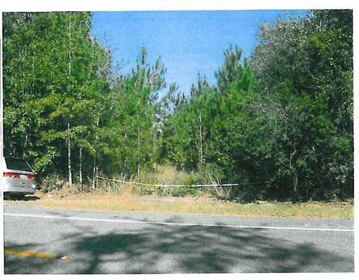 0 Hwy 204, Ellabell, GA for sale - Building Photo - Image 1 of 1