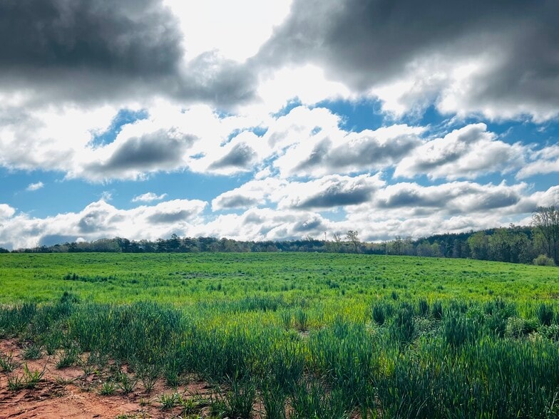 Anson High School, Wadesboro, NC for sale - Building Photo - Image 3 of 5