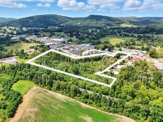 Plus de détails pour 1342 Golden Mile Rd, Towanda, PA - Terrain à vendre