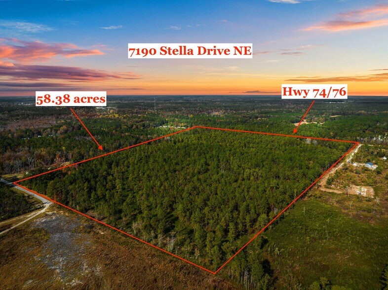 7190 Stella Dr NE, Leland, NC à vendre - Aérien - Image 1 de 11