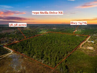 Plus de détails pour 7190 Stella Dr NE, Leland, NC - Terrain à vendre