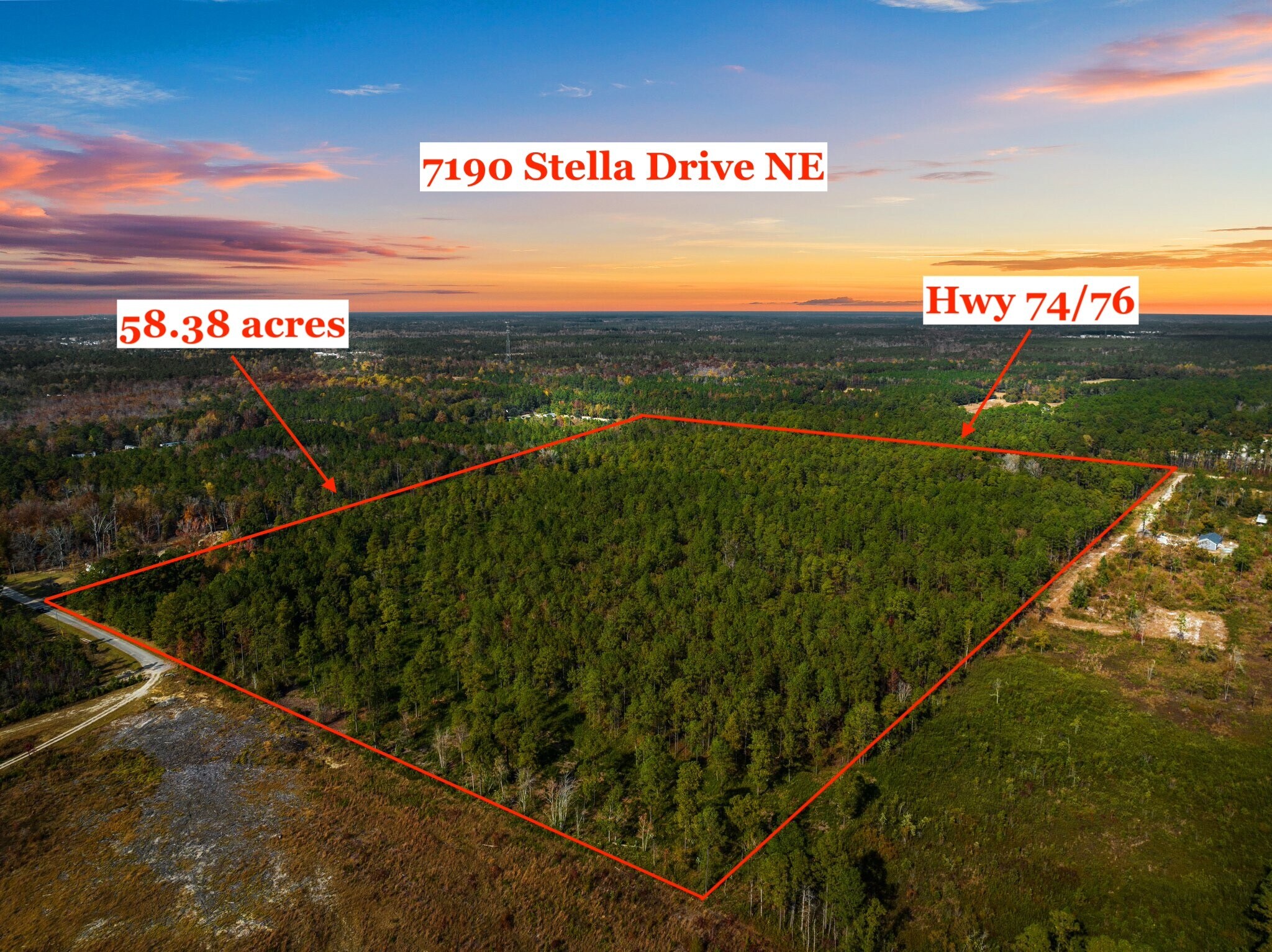 7190 Stella Dr NE, Leland, NC à vendre Aérien- Image 1 de 12