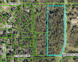 Plus de détails pour N Broad (US Hwy 41) St, Brooksville, FL - Terrain à vendre