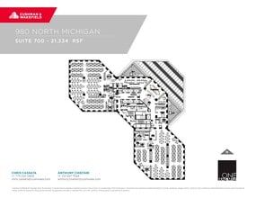 980 N Michigan Ave, Chicago, IL à louer Plan d’étage- Image 1 de 1