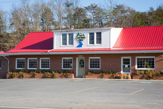 Plus de détails pour 8079 State Road 259, Lost River, WV - Services hôteliers à vendre