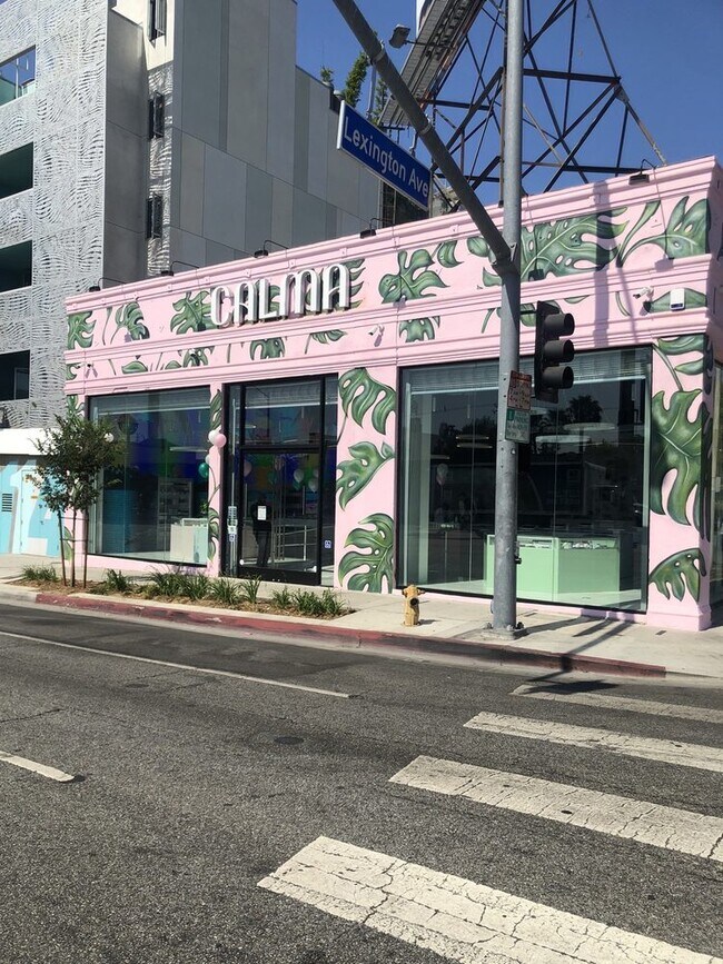 Plus de détails pour 1157 N La Brea Ave, West Hollywood, CA - Commerce de détail à vendre