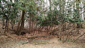 Plus de détails pour 540 NY-22, Brewster Village, NY - Terrain à vendre