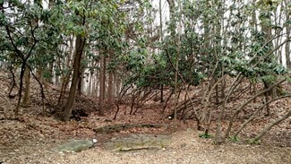 More details for 540 NY-22, Brewster Village, NY - Land for Sale