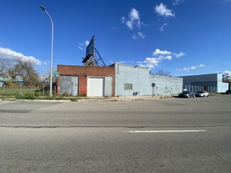 Plus de détails pour 8520 Carbondale St, Detroit, MI - Flex à vendre