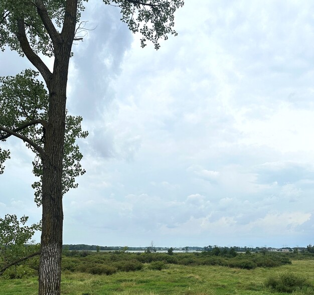 4012 Terminal Dr, McFarland, WI for lease - Other - Image 2 of 4