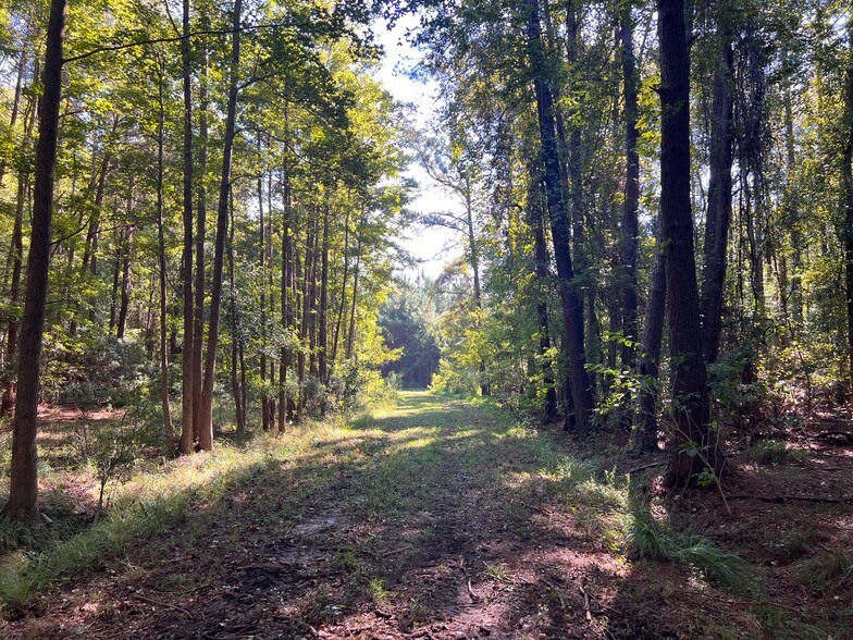 TBD Hwy 701 S, Georgetown, SC à vendre - Photo du b timent - Image 2 de 7