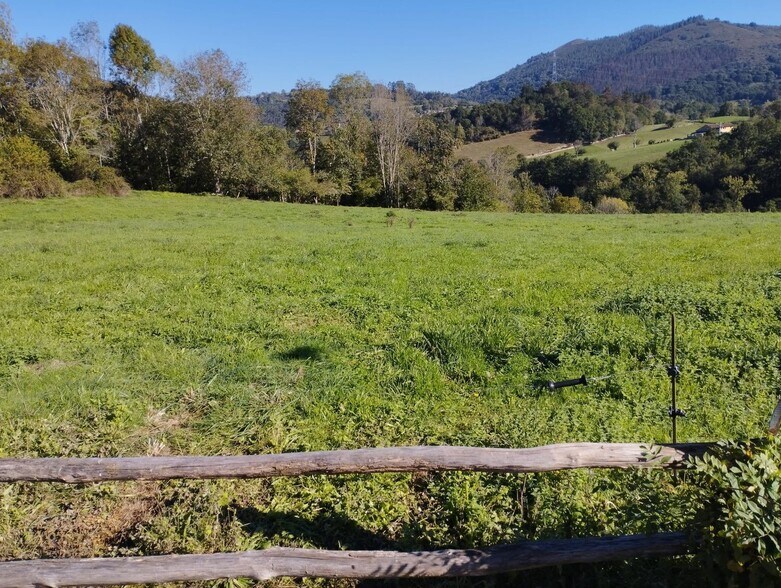 Barrio la Capilla, S/N, Nava, Asturias à vendre - Photo du bâtiment - Image 1 de 31