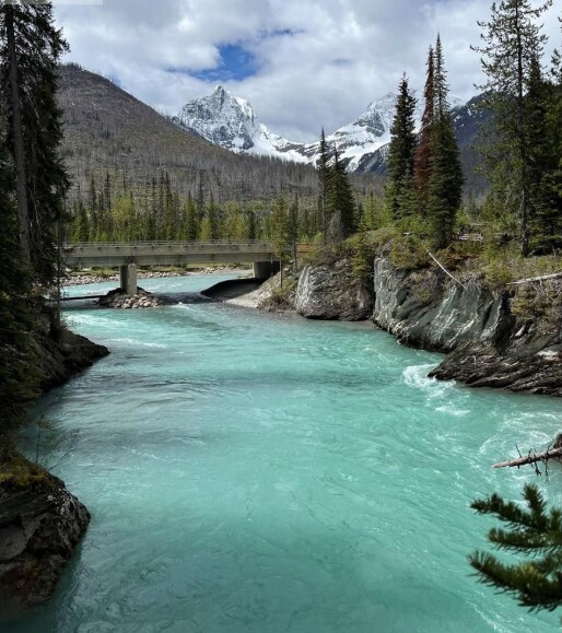 Highway 93, East Kootenay, BC à vendre - Photo du bâtiment - Image 3 de 3