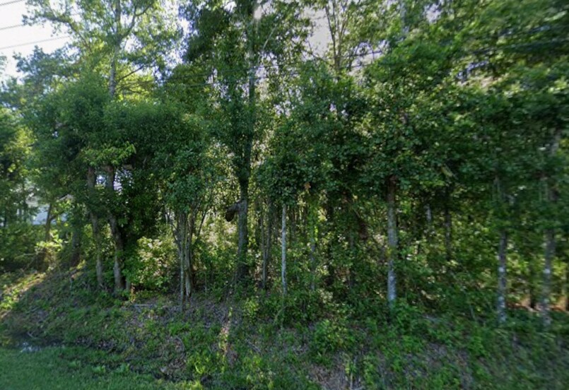 3 State Highway 181 hwy, Fairhope, AL à vendre Photo principale- Image 1 de 2