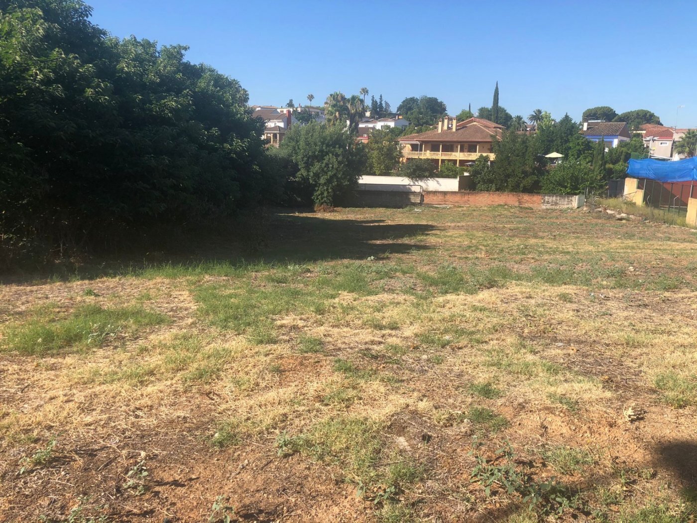 Land in Córdoba, Córdoba for sale Primary Photo- Image 1 of 3