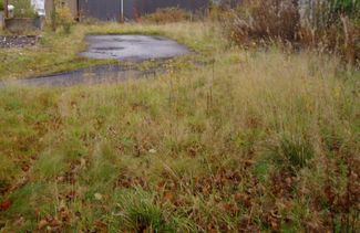 Plus de détails pour Museum Rd, Alford - Terrain à louer