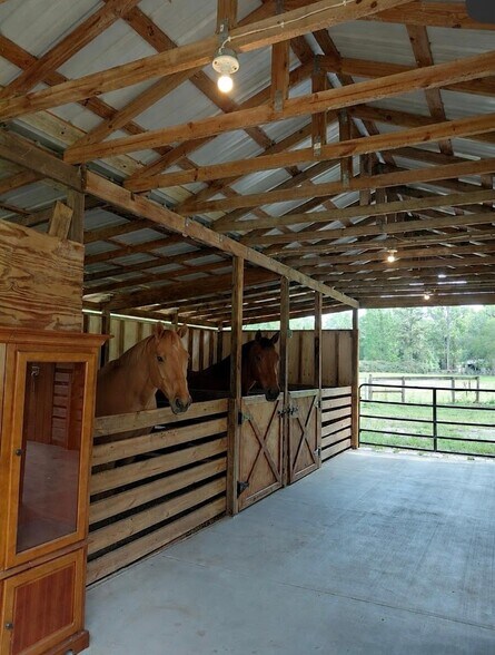 14810 NW 185th St, Williston, FL à vendre - Photo du bâtiment - Image 3 de 71