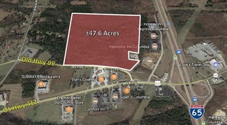 Plus de détails pour 1647 Old Highway 99, Columbia, TN - Terrain à vendre