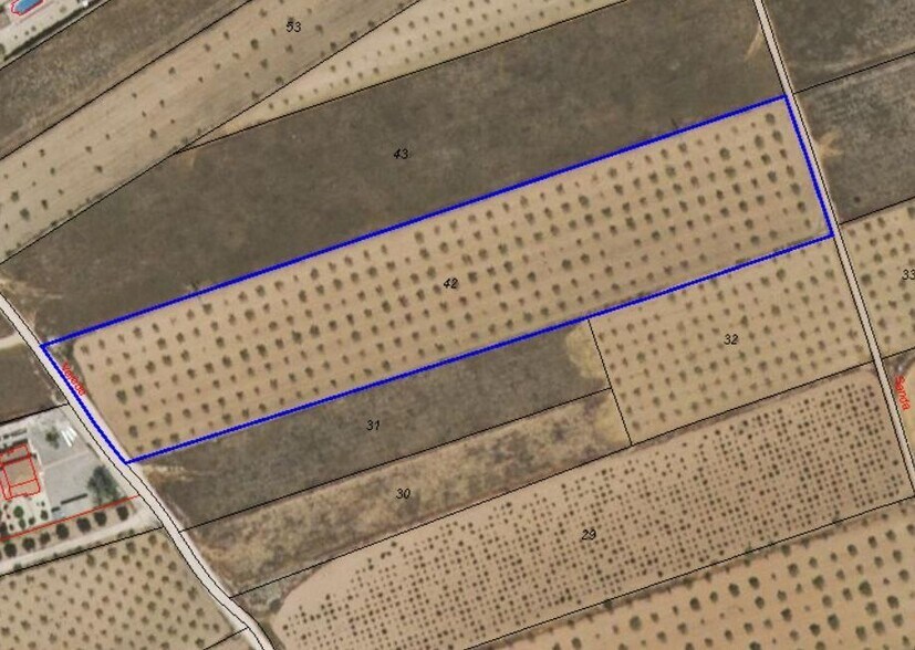 Plaza Pedáneo Ricardo Yáñez, Yecla, Murcia à vendre - Photo du bâtiment - Image 3 de 3