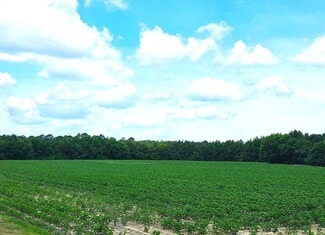 More details for 00 Highway 125, Roanoke Rapids, NC - Land for Sale