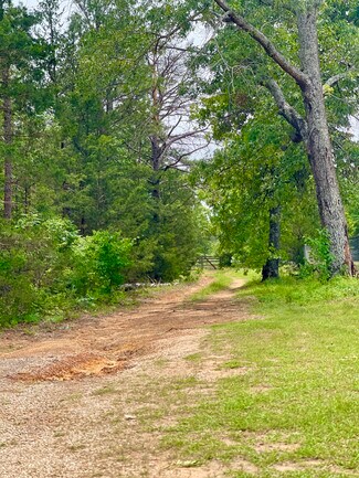 Plus de détails pour TBD County Road 336, Tyler, TX - Terrain à vendre