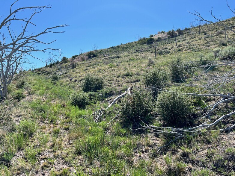 0 Canyon Peak Rd, Rachel, NV à vendre - Aérien - Image 2 de 8