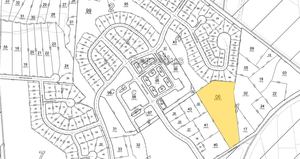 19475 Old Jetton Rd, Cornelius, NC à louer - Plan cadastral - Image 2 de 5