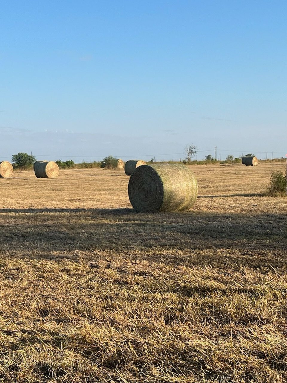 496 FM136, Woodsboro, TX à vendre Photo principale- Image 1 de 1