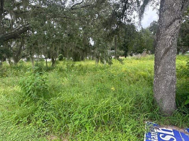 0 Bloomingdale Ave & Hurley Rd, Valrico, FL for sale - Primary Photo - Image 1 of 4