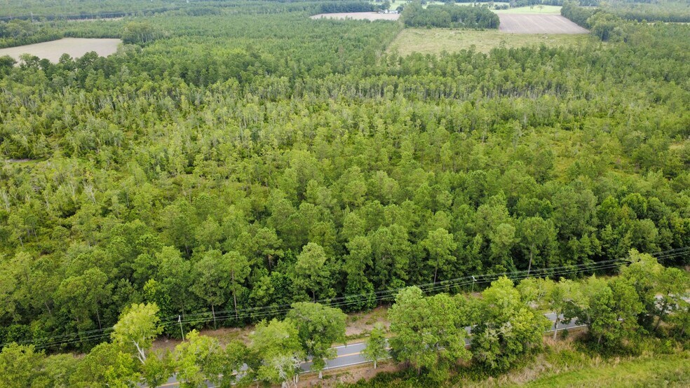 0 Cane Branch Rd, Walterboro, SC à vendre - Photo du bâtiment - Image 3 de 4