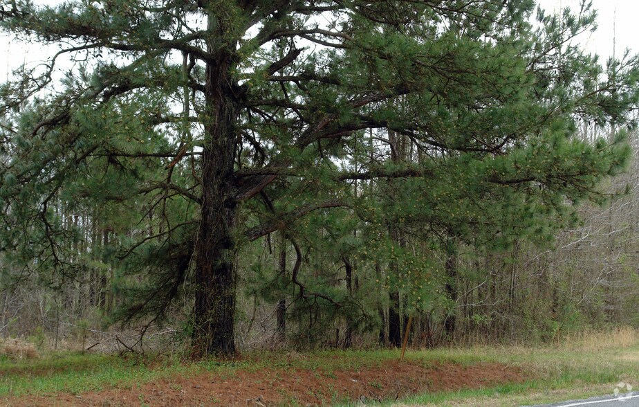 20400 Highway 365 S, Hensley, AR à vendre - Photo principale - Image 1 de 2