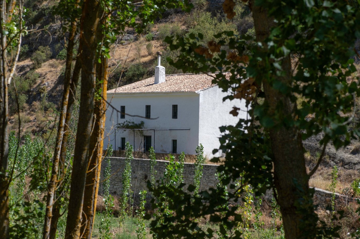 Land in Alhama de Granada, Granada for sale Building Photo- Image 1 of 50