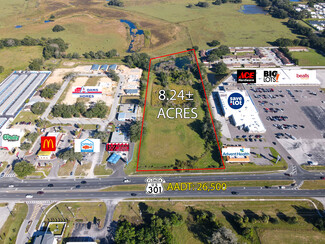 Plus de détails pour 12953 US 301, Dade City, FL - Terrain à vendre