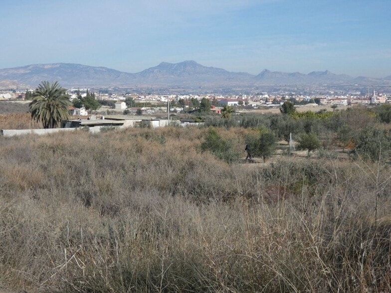 Terrain dans Ceutí, Murcia à vendre - Plan de site - Image 1 de 3
