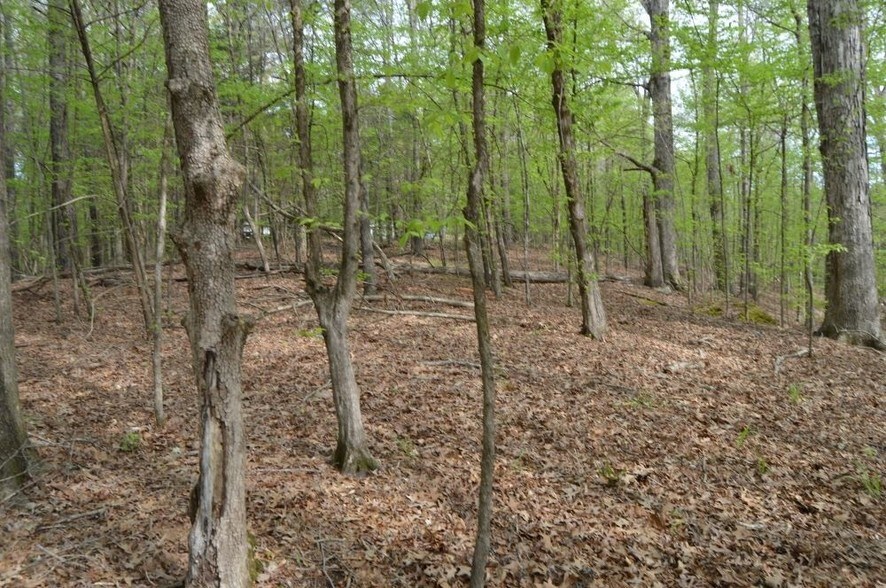 0 Whipoorwill Rd, Pope, MS à vendre - Photo du bâtiment - Image 3 de 3