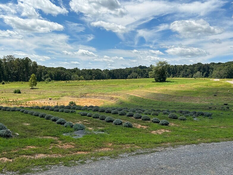 361 County Road 170, Athens, TN for sale - Primary Photo - Image 1 of 28