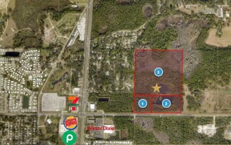 Plus de détails pour E County Road 44, Eustis, FL - Terrain à vendre