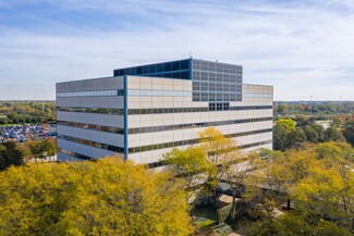 Plus de détails pour 300 N Martingale Rd, Schaumburg, IL - Bureau à louer